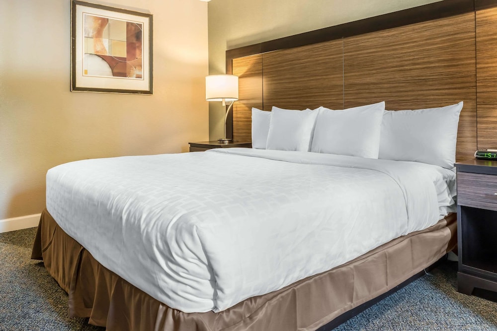 Standard Room, 1 King Bed with Sofa bed, Non Smoking (2 Person Sofa Bed) - Photo 3