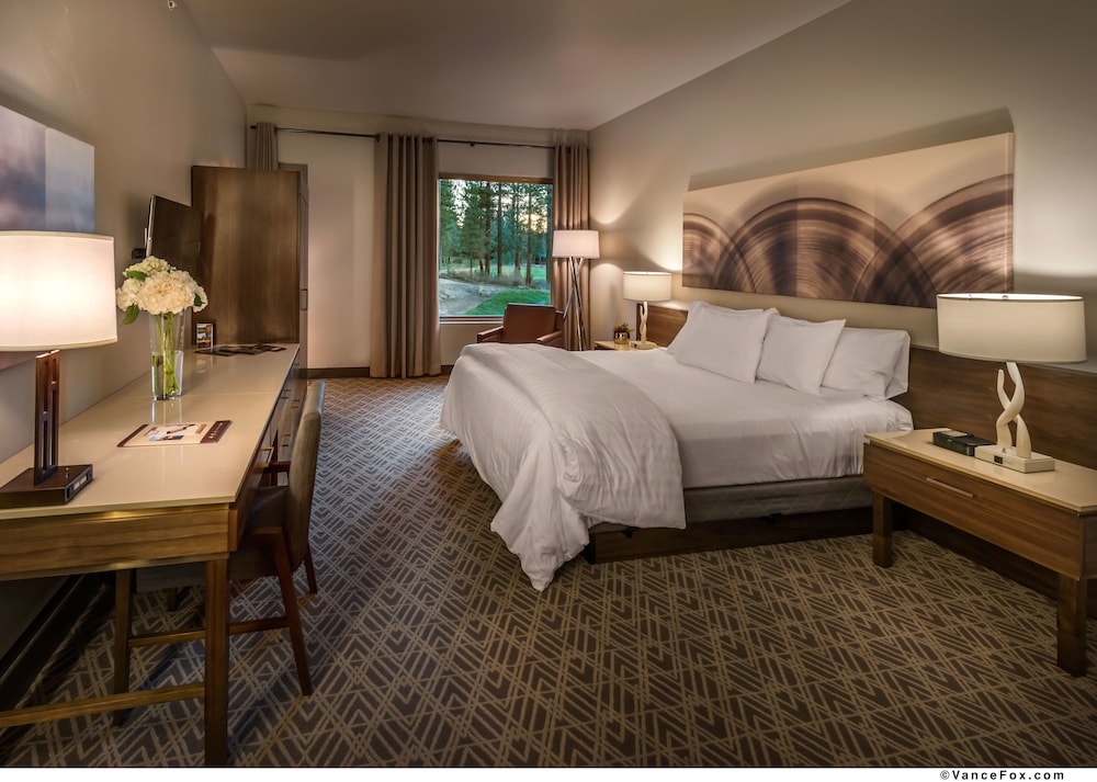 Standard Room, 1 King Bed, Non Smoking (Forest) photo 1