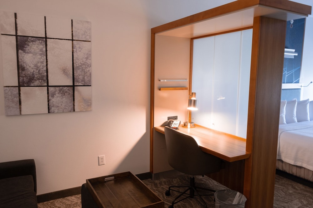 SpringHill Suites by Marriott Dallas Lewisville, Photo 4