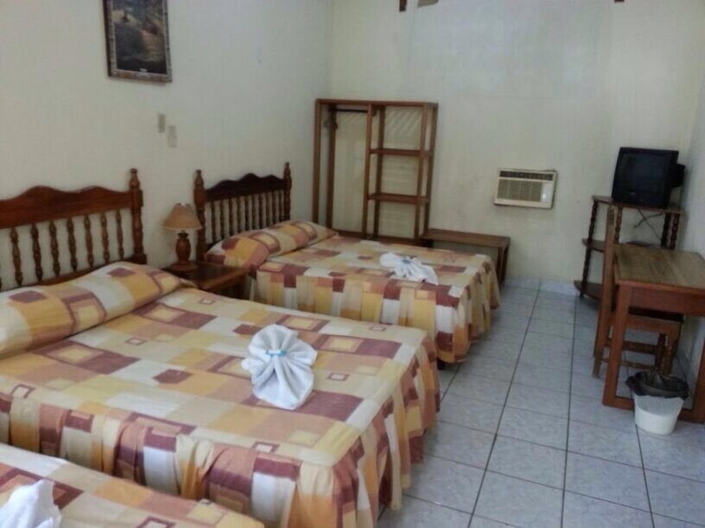 Single Room photo 1