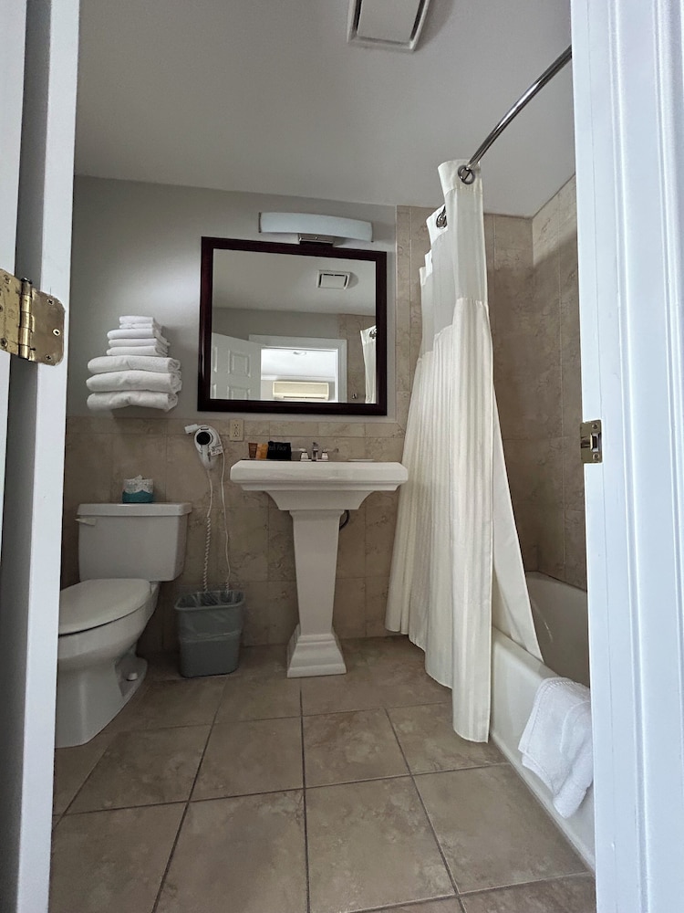 Room, 1 Queen Bed - Photo 4