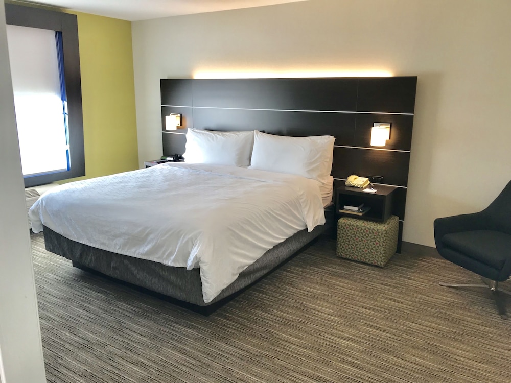 Suite, 1 King Bed, Accessible (Communications, Mobility, Access Tub) - Photo 1