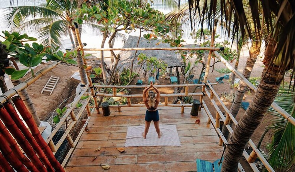 Palapa - Photo 10