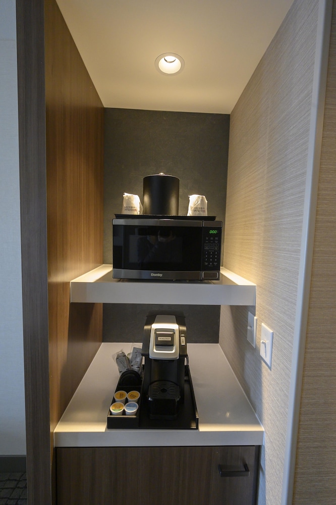 Room, 1 King Bed, Accessible (Roll-In Shower) - Photo 6