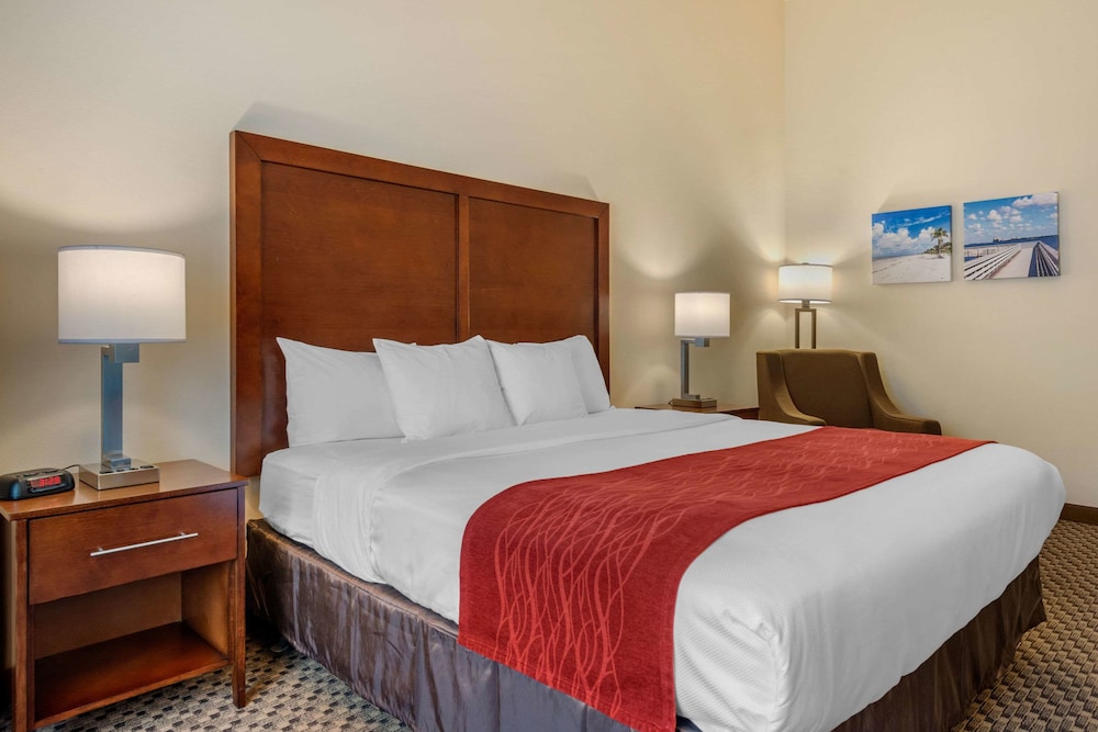 Room, 1 King Bed, Accessible, Non Smoking (Bathtub) - Photo 4