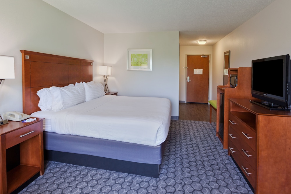 Standard Room, 1 King Bed, Accessible (Mobility Roll-In Shower) - Photo 1