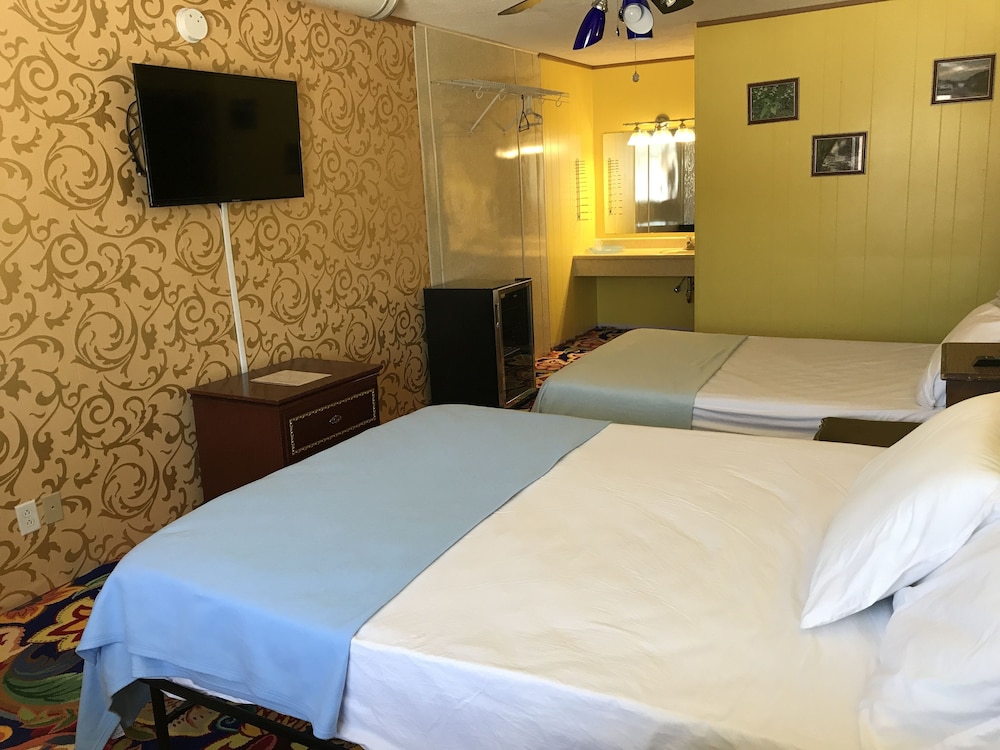 Standard Double Room, 2 Double Beds photo 2