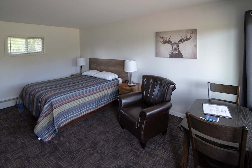 Standard Room, 1 Queen Bed, Refrigerator & Microwave (Room 10) photo 1