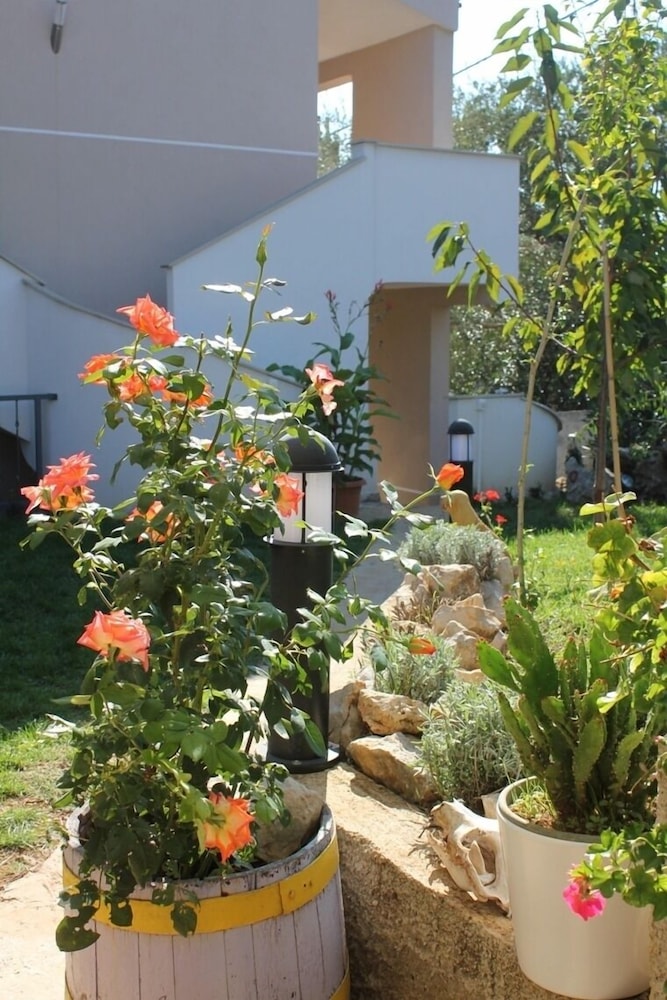 Apartment (Ante - 50m from the sea - A4 Lila(3+2) photo 1