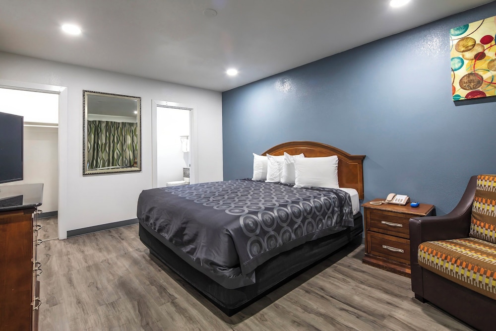 Basic Studio, 1 King Bed, Kitchen