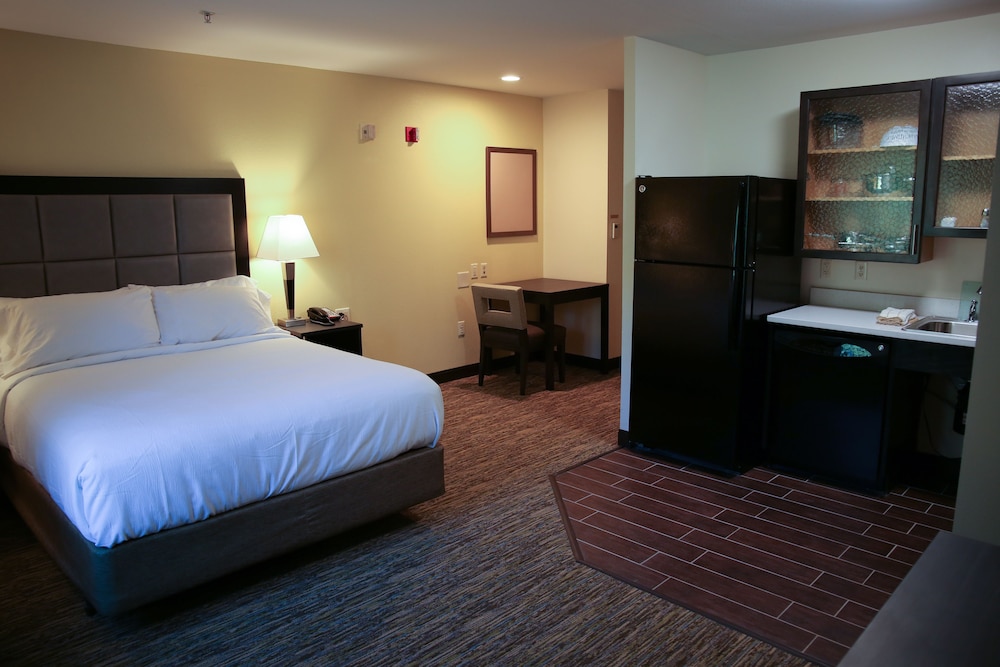 Studio Suite, 1 Queen Bed, Accessible (Communications) - Photo 4