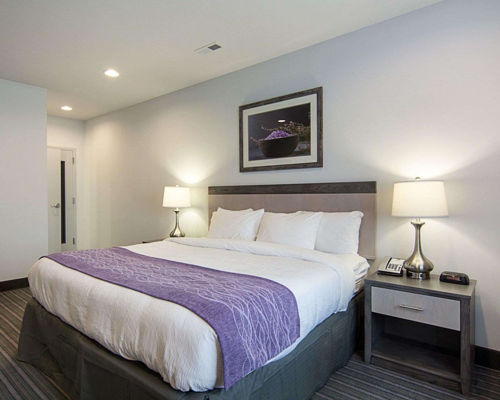 Suite, 1 Bedroom, Non Smoking - Photo 4