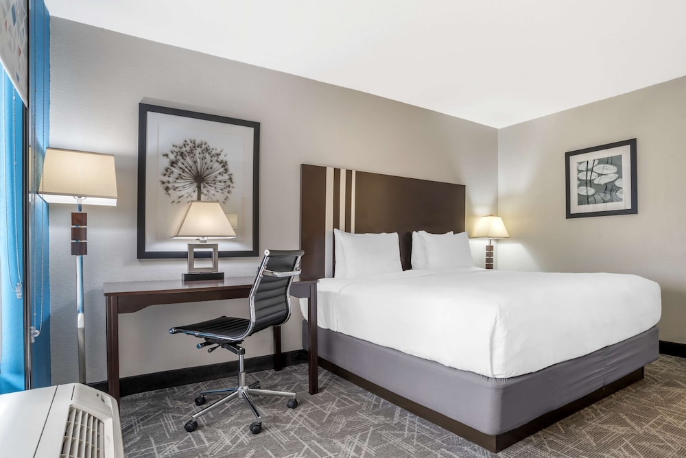 Standard Room, 1 King Bed, Accessible, Refrigerator & Microwave photo 1