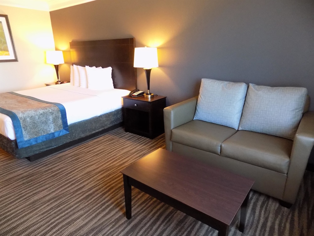 Standard Room, 1 King Bed, Non Smoking, Refrigerator & Microwave - Photo 3