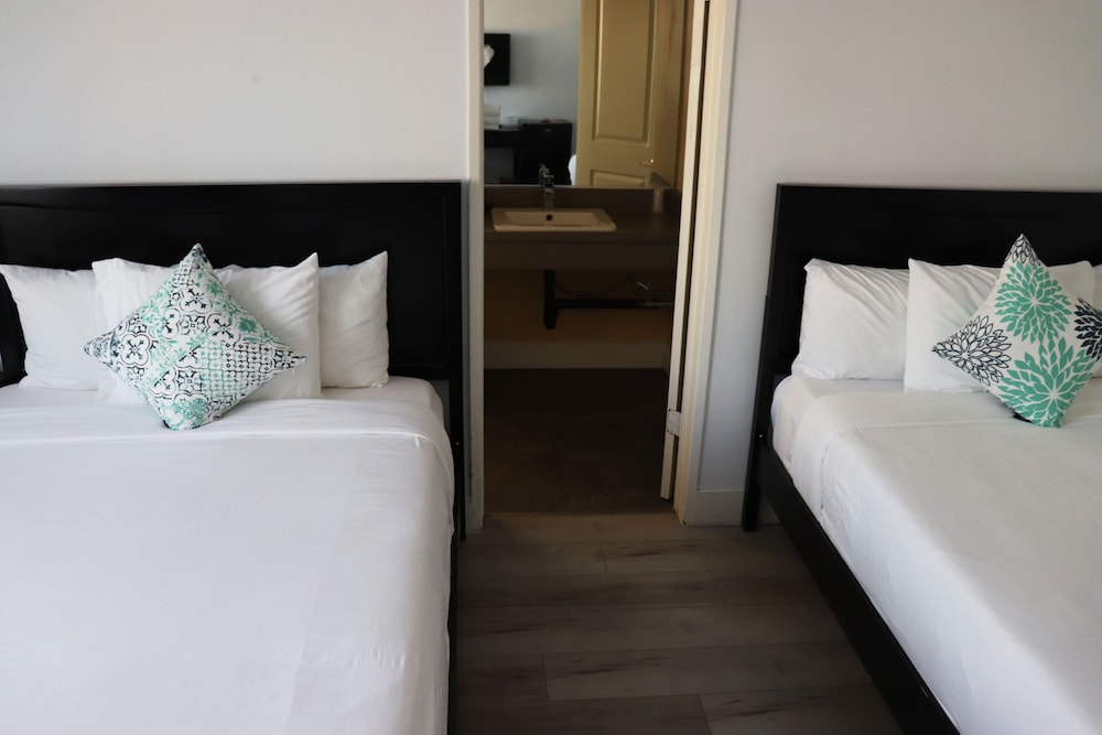 Standard Double Room, 2 Double Beds, Non Smoking photo 2