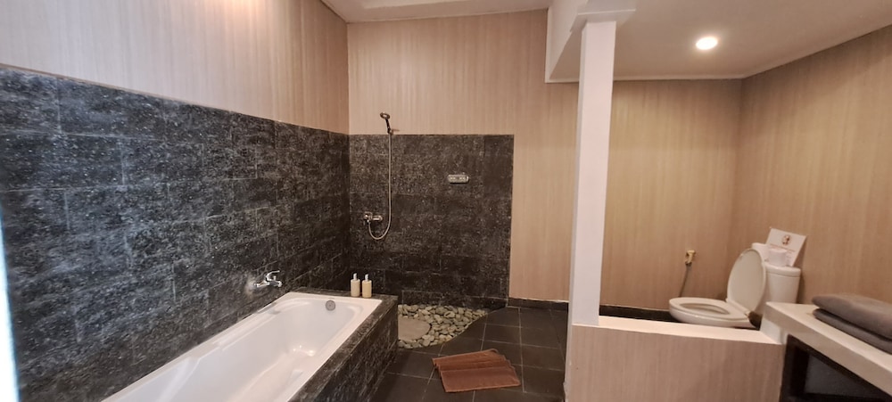 Deluxe Room photo 2