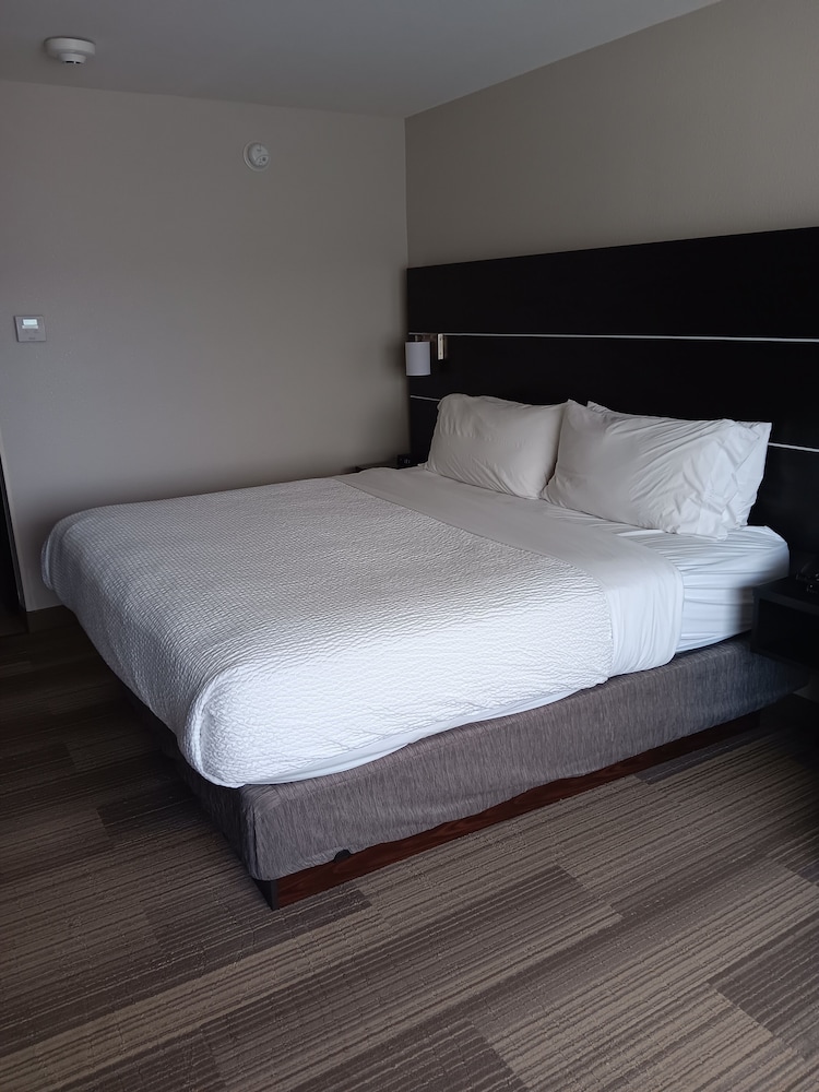 Suite, 1 King Bed with Sofa bed, Mobility Accessible (Transfer Shower)