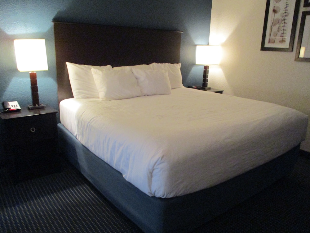 Suite, 1 King Bed, Non Smoking photo 2