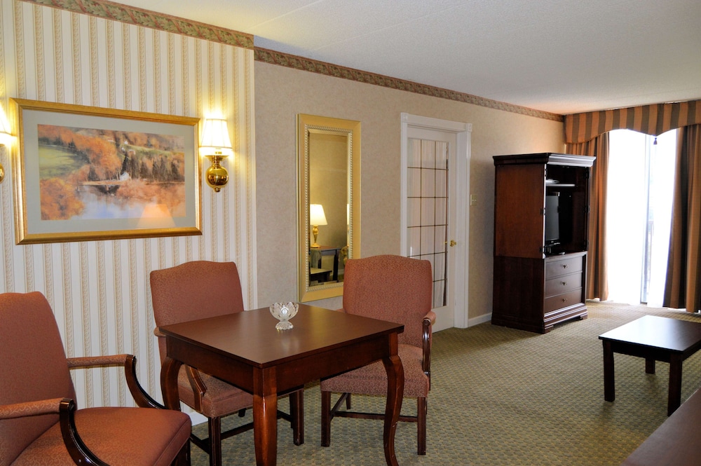 Suite, 1 King Bed, Non Smoking, Kitchenette (with Sofabed) photo 1
