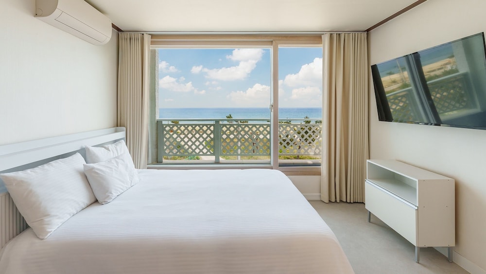 Basic Room, 2 Bedrooms (301 (Ocean View / DOGS ONLY))