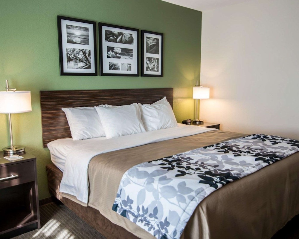 Standard Room, 1 King Bed, Non Smoking photo 1