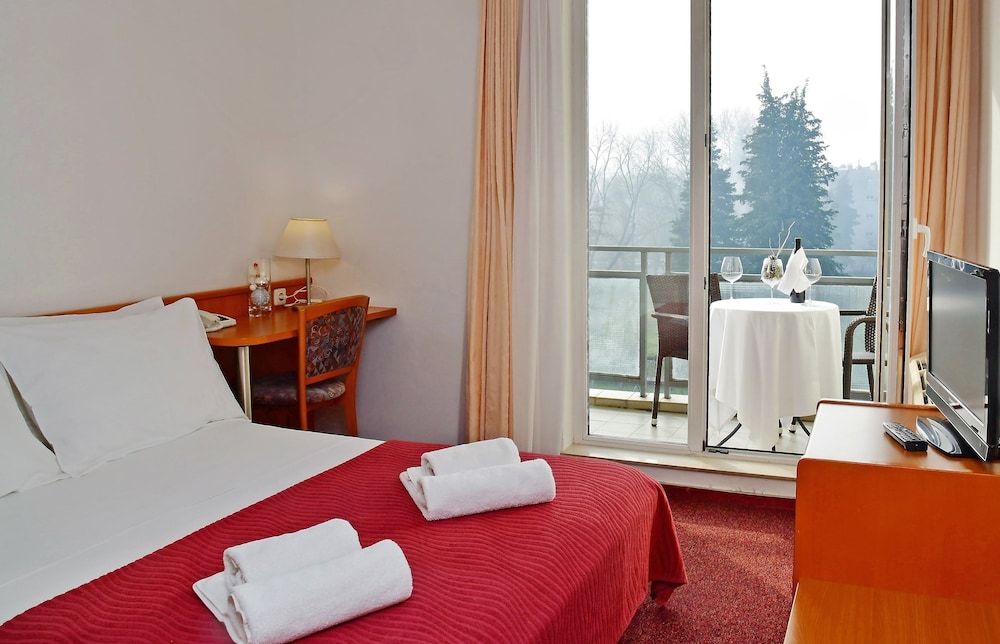 Standard Double or Twin Room, Balcony, Park View