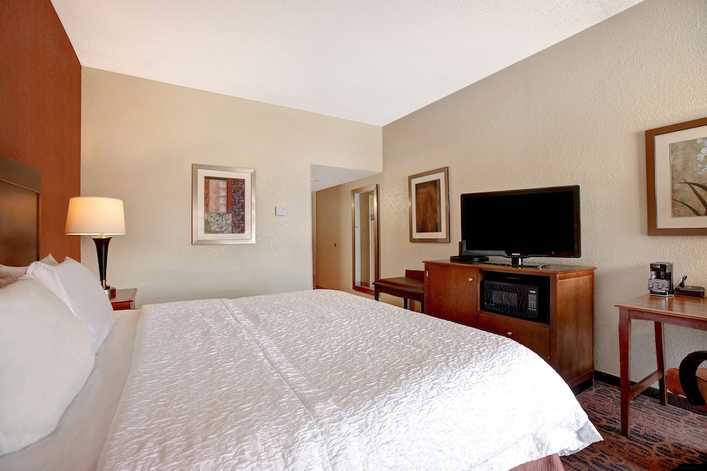 Room, 1 King Bed, Non Smoking, Refrigerator & Microwave