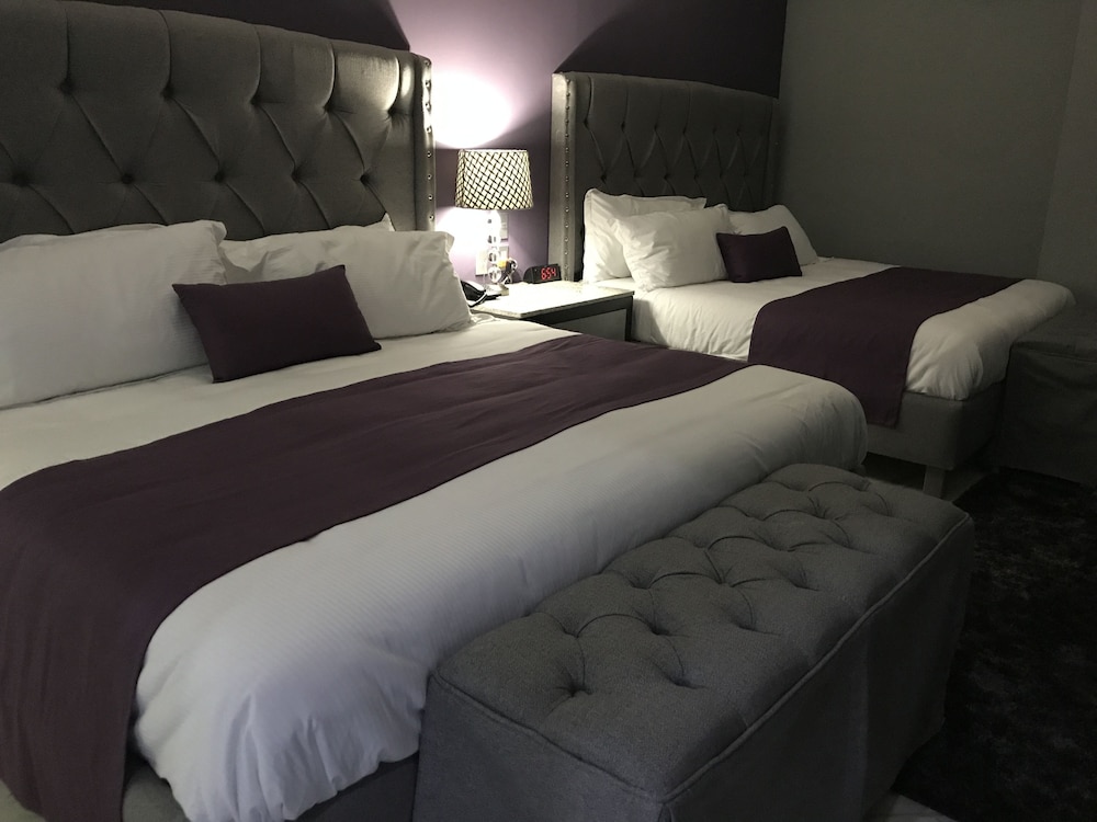 Elite Suite, 1 Bedroom photo 1
