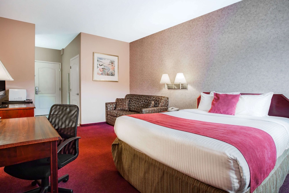 Room, 1 Queen Bed, Non Smoking (Pet Friendly) photo 1
