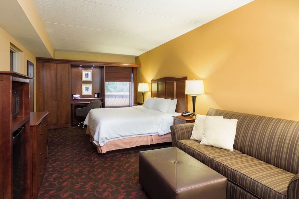 Standard Room, 1 King Bed With Shower & 1 Person Whirlpool photo 1