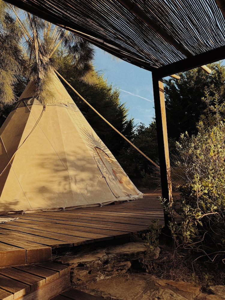 Tent, Garden View photo 3