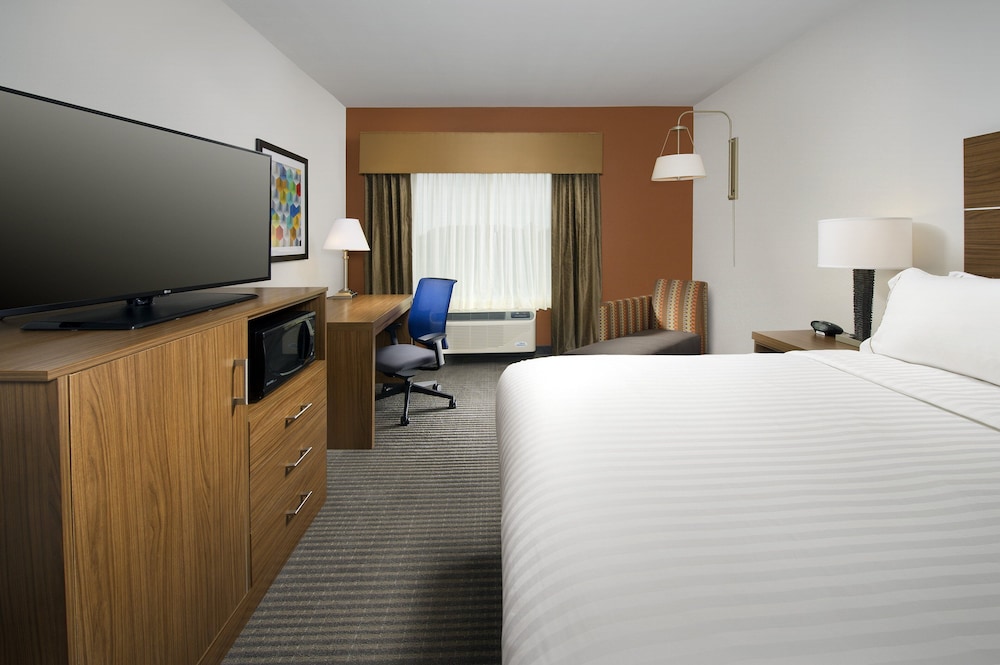 Suite, 1 King Bed, Accessible photo 2