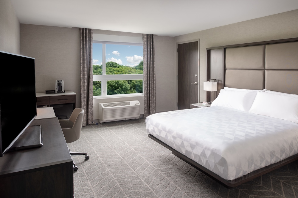 Standard Room, 1 King Bed, Accessible (Communications, Accessible Tub) photo 1
