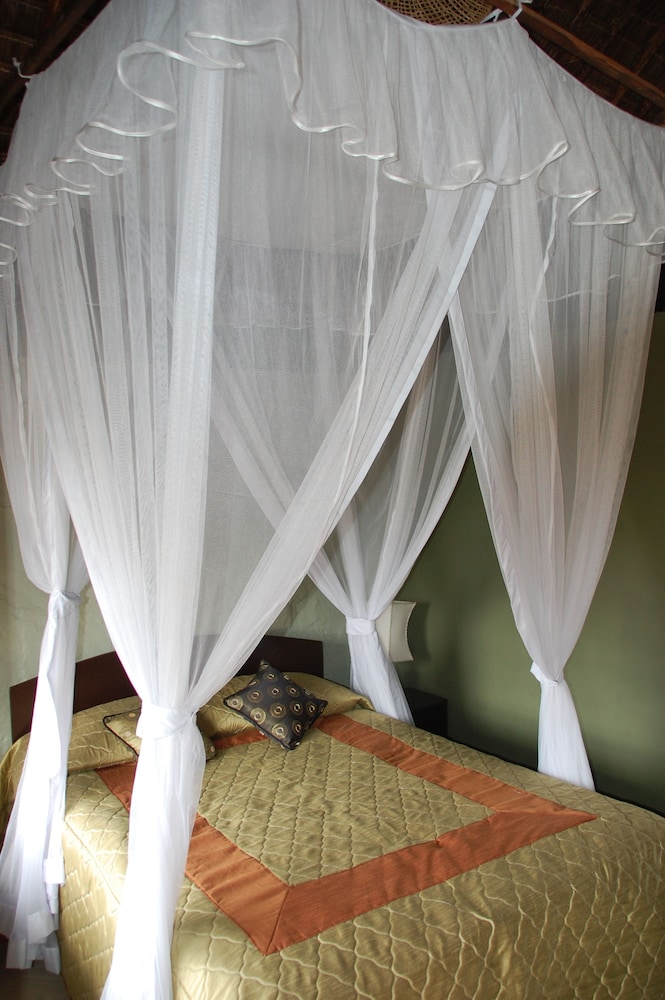 Standard Double or Twin Room photo 3