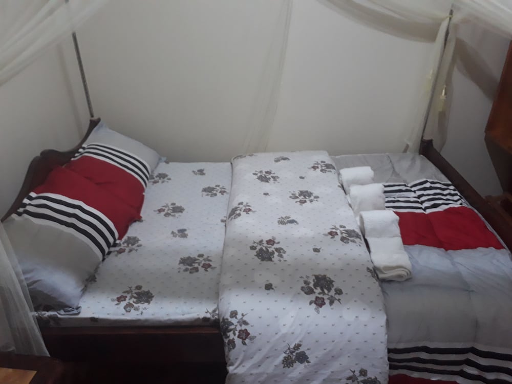 Twin Room photo 3
