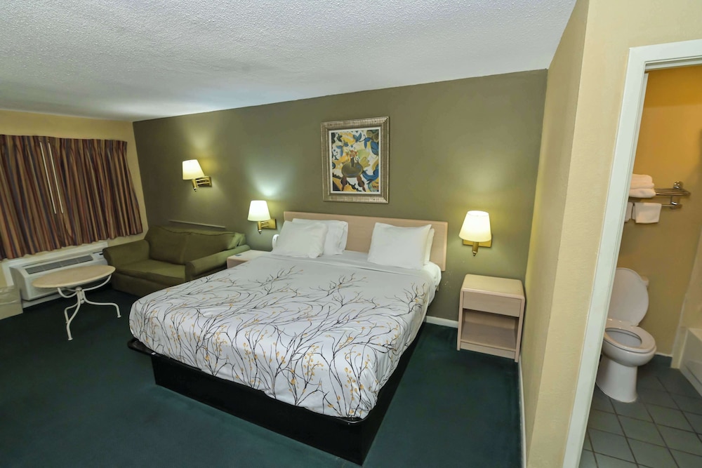 Room, 1 King Bed, Smoking (Deluxe) - Photo 1