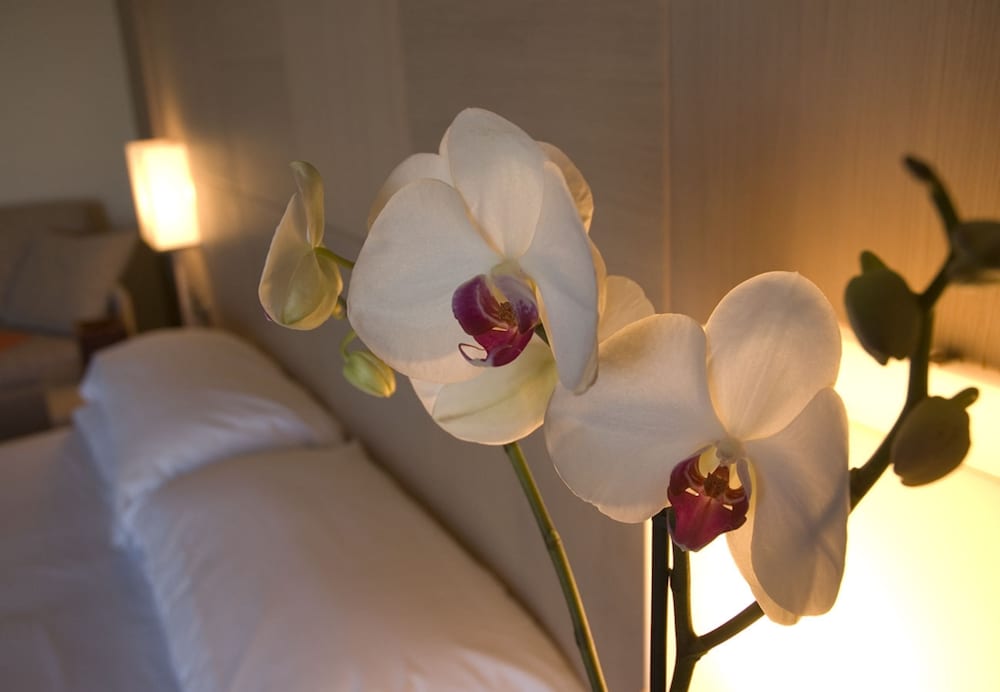 Superior Double Room, Partial Sea View