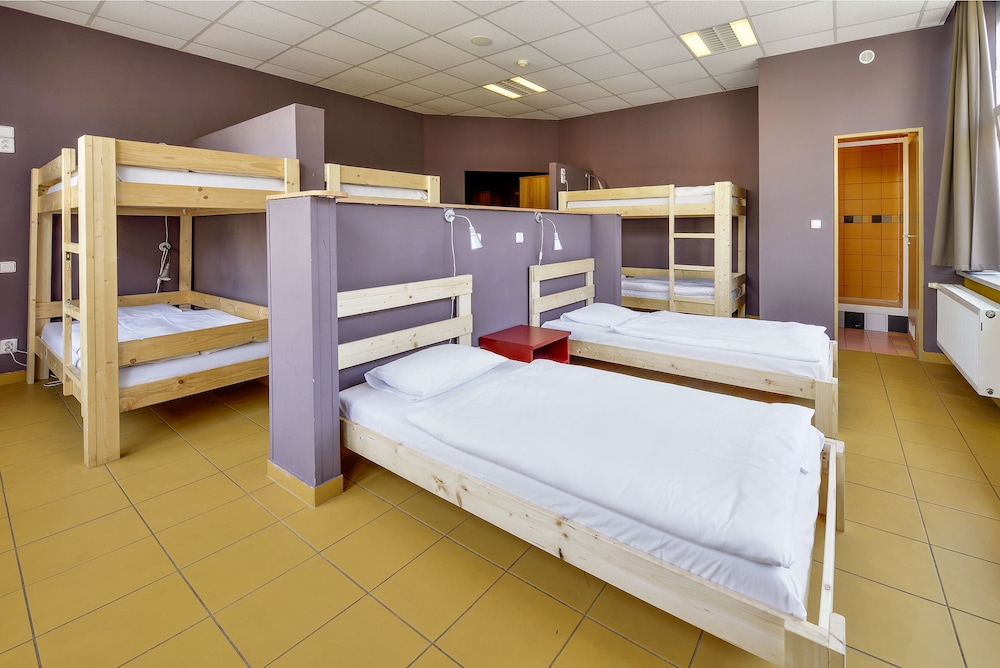 Shared Dormitory, Mixed Dorm, Ensuite (8 Bedded)