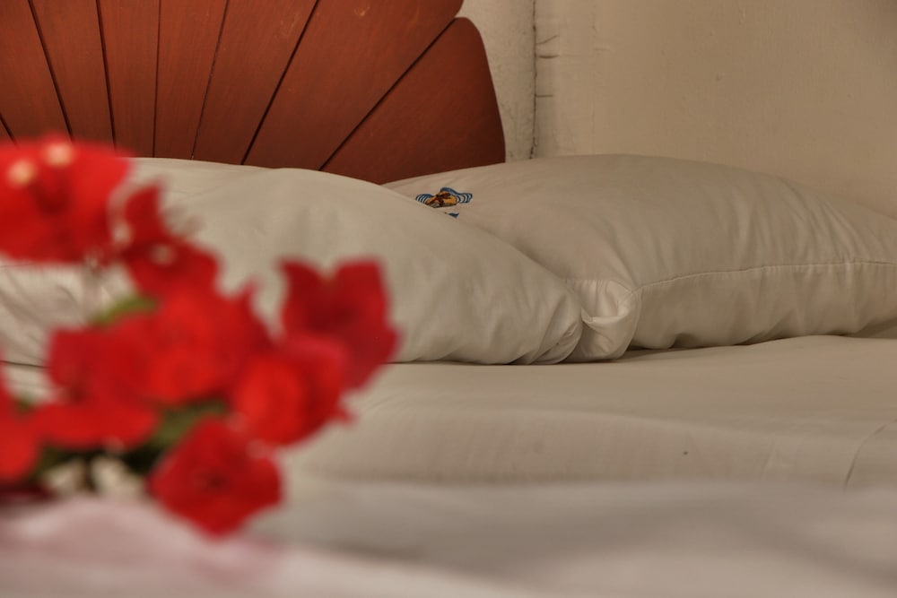 Superior Room - Photo 2
