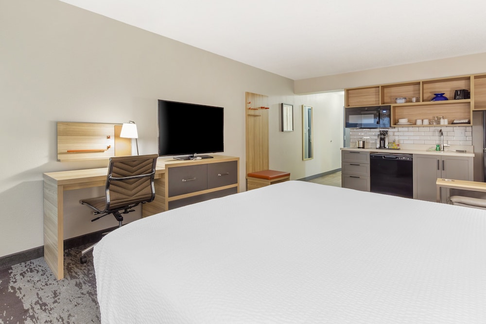 Studio Suite, 1 King Bed (Pet Friendly) photo 1