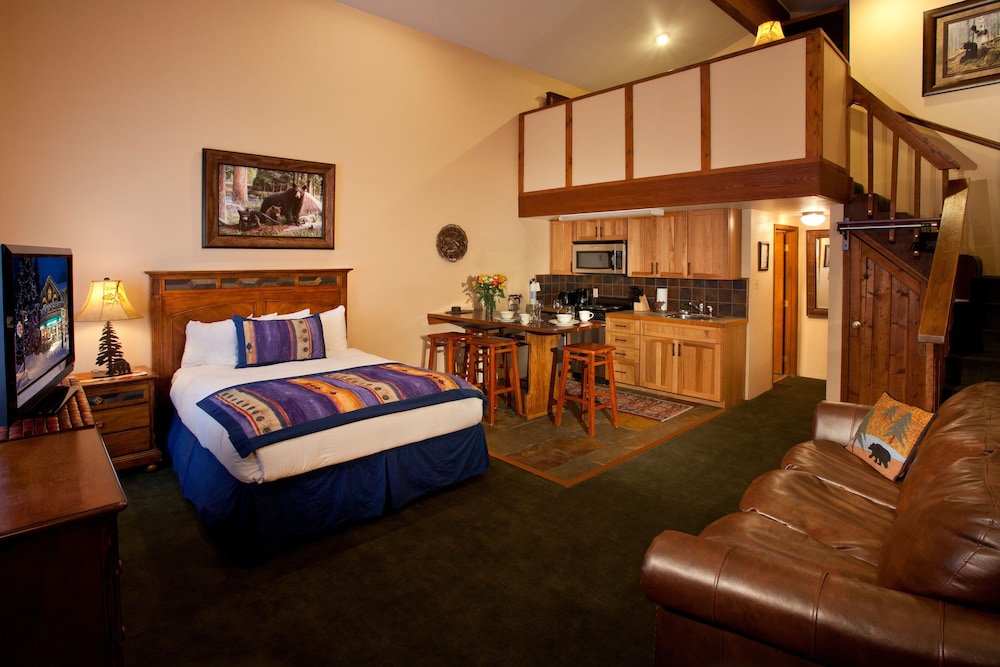 Deluxe Studio Suite photo 1
