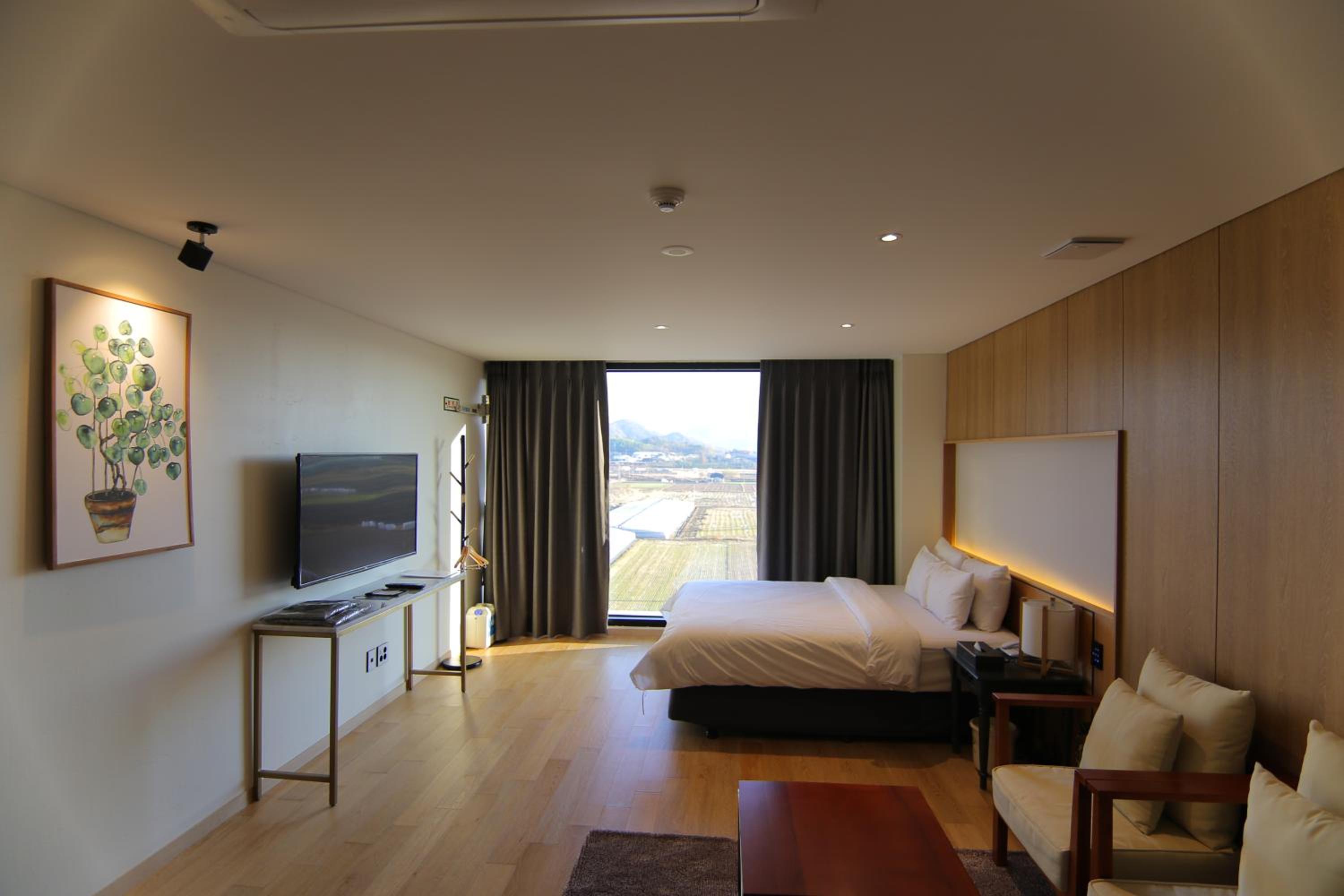 Standard Double Room - Photo 2