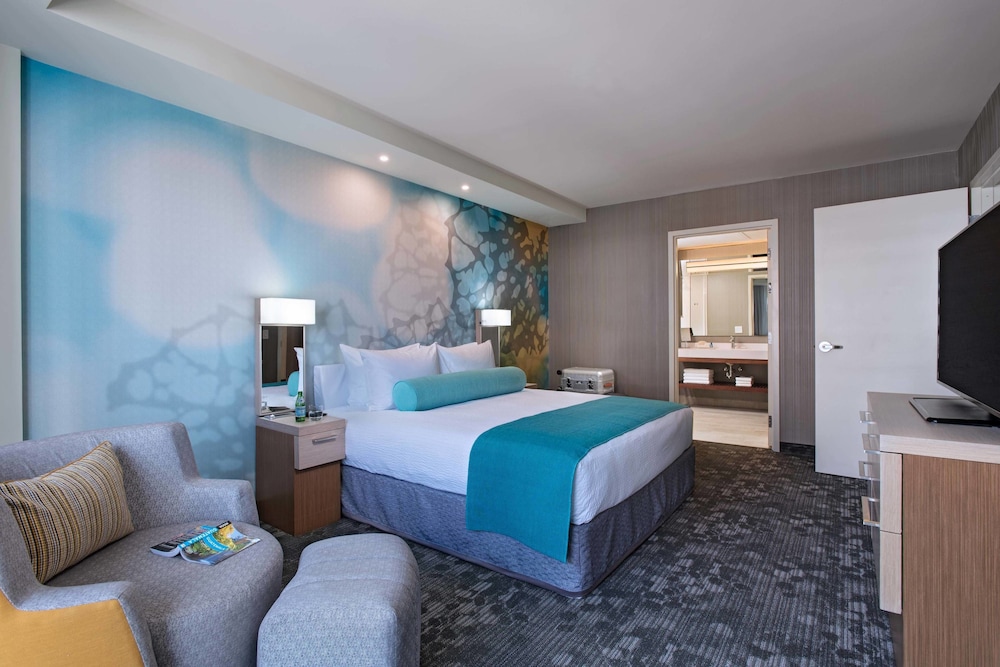 Suite, 1 King Bed with Sofa bed photo 2