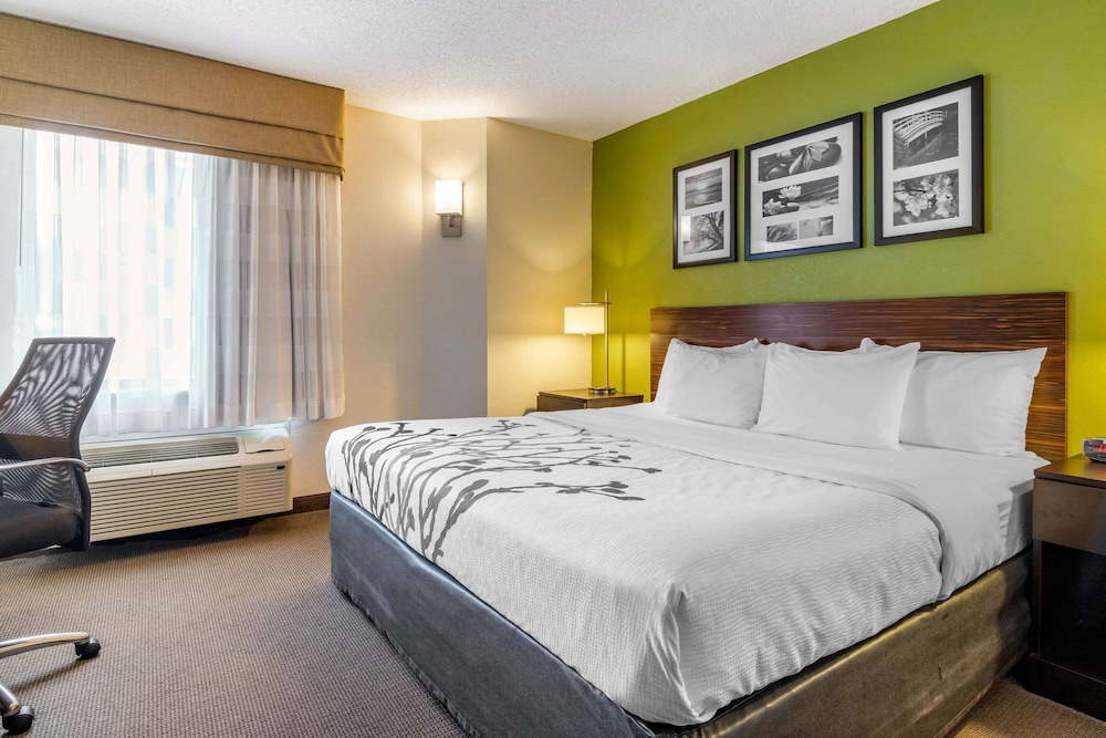 Room, 1 King Bed, Accessible, Non Smoking (Efficiency) photo 2