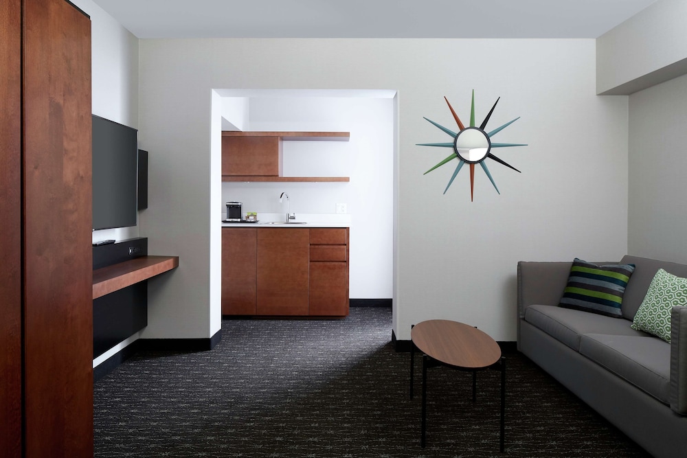 Studio Suite, 1 King Bed photo 3