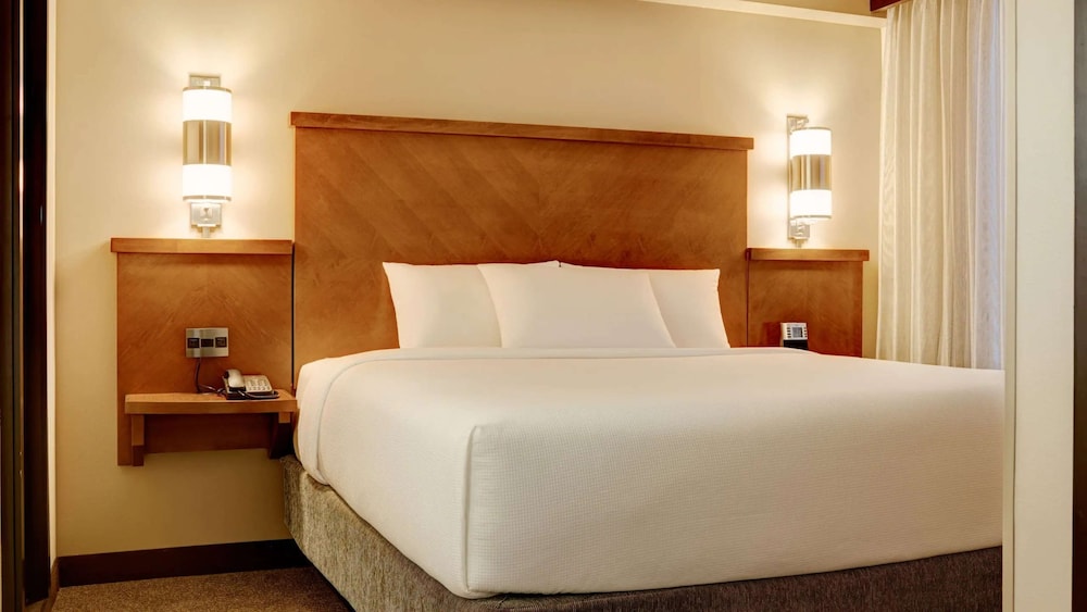 Room, 1 King Bed with Sofa bed, Accessible (Mobility Tub) - Photo 2