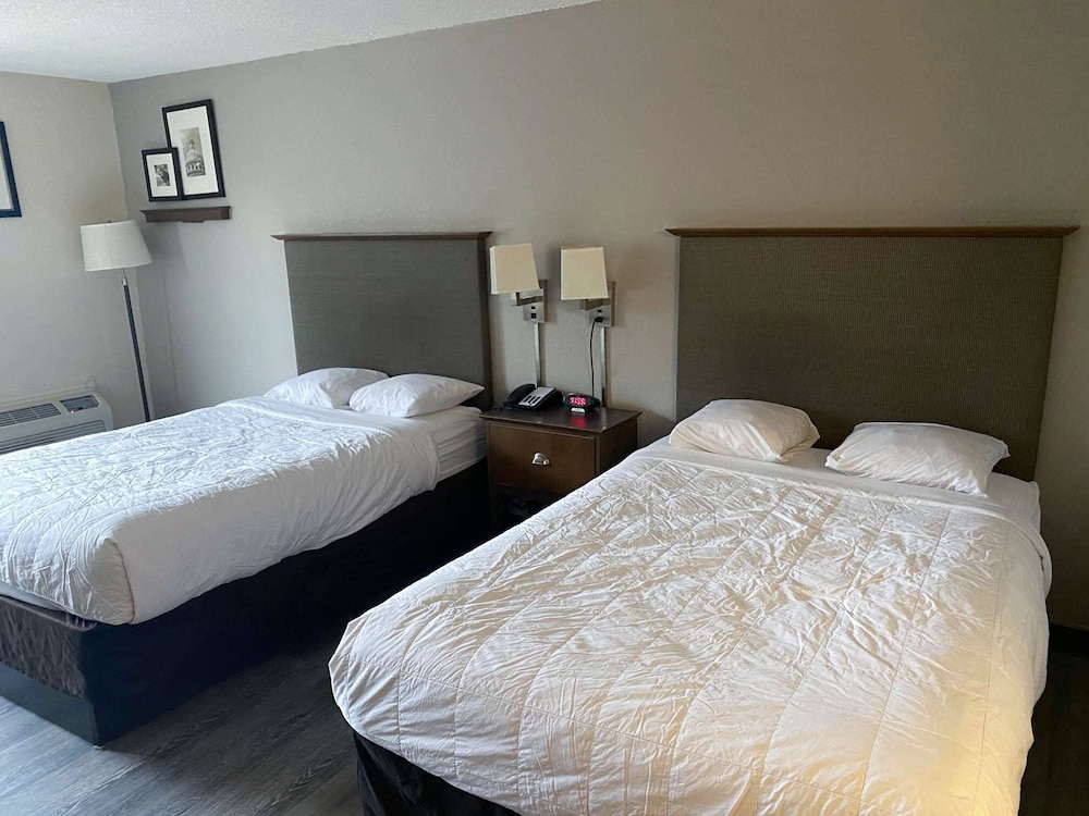 Standard Double Room, 2 Double Beds, Non Smoking - Photo 1