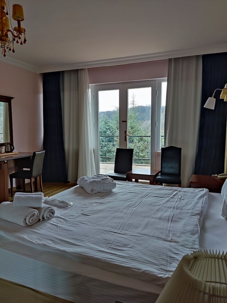 Exclusive Suite, Jetted Tub, Mountain View photo 2