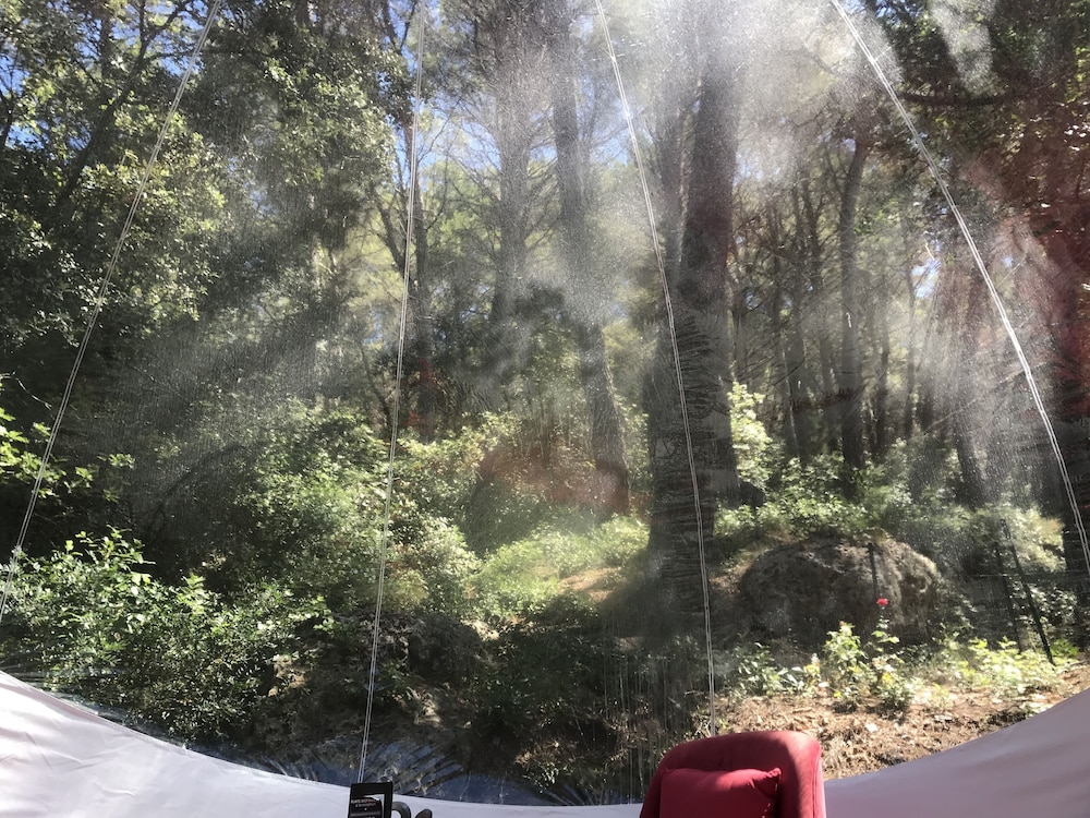 Harmony Bubble photo 3