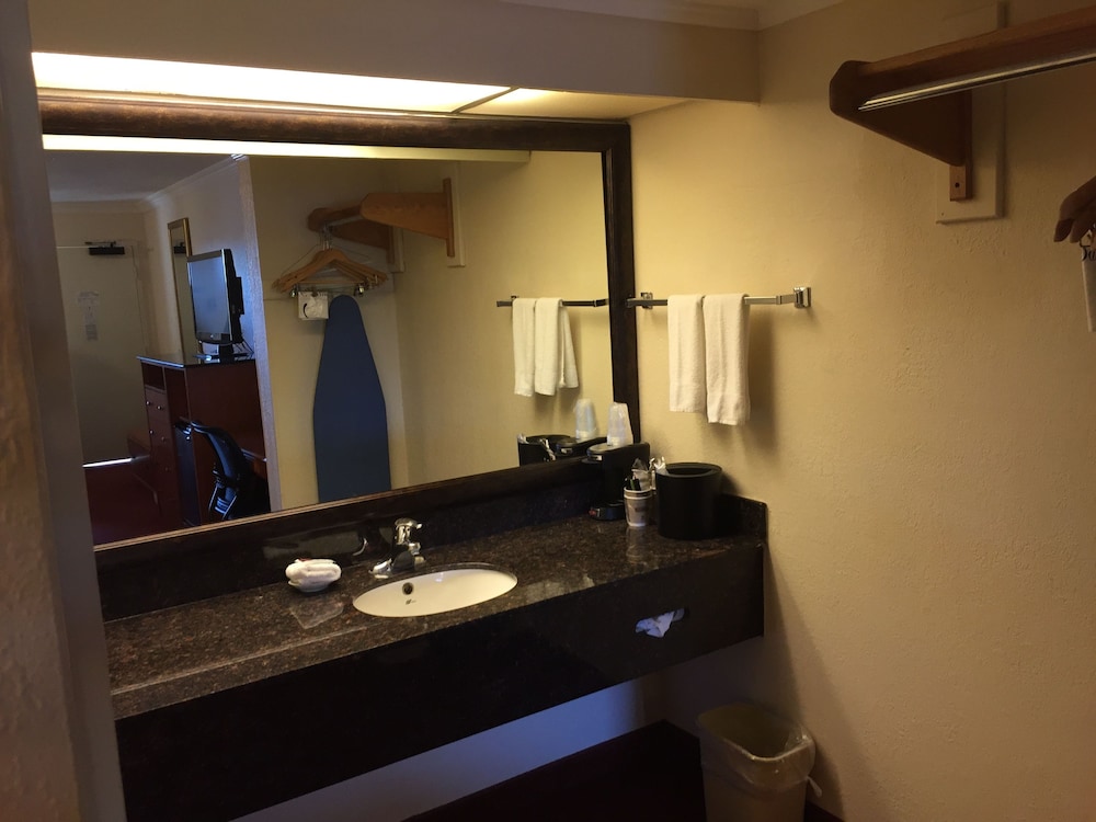 Standard Room, 1 King Bed, Accessible - Photo 4